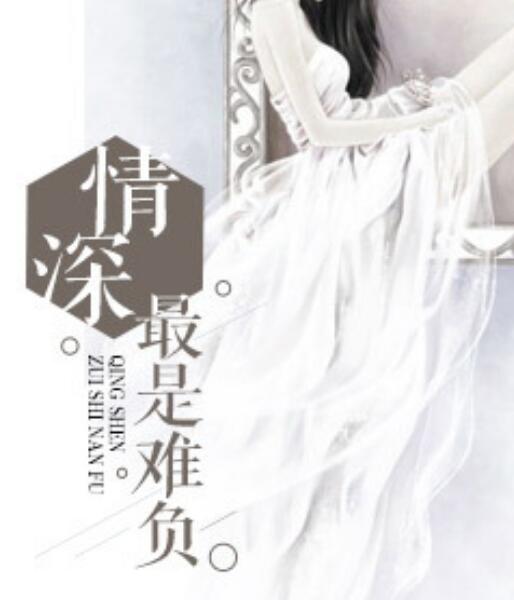 慕央傅颂小说名